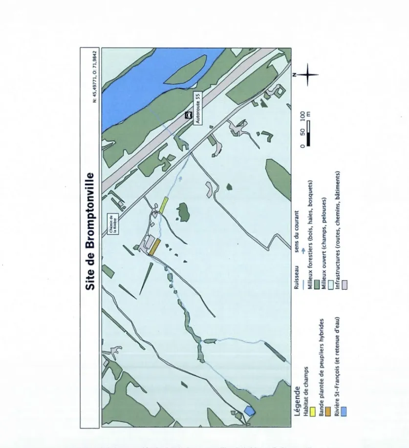 Figure 2.3  Cartographie du  site de  Bromptonville.  (L 'habitat « forêt naturelle » n'est pas  présent  au  site  de  Bromptonville,  car  ce  milieu  naturel  était  trop  éloigné  de  la  bande  riveraine plantée)
