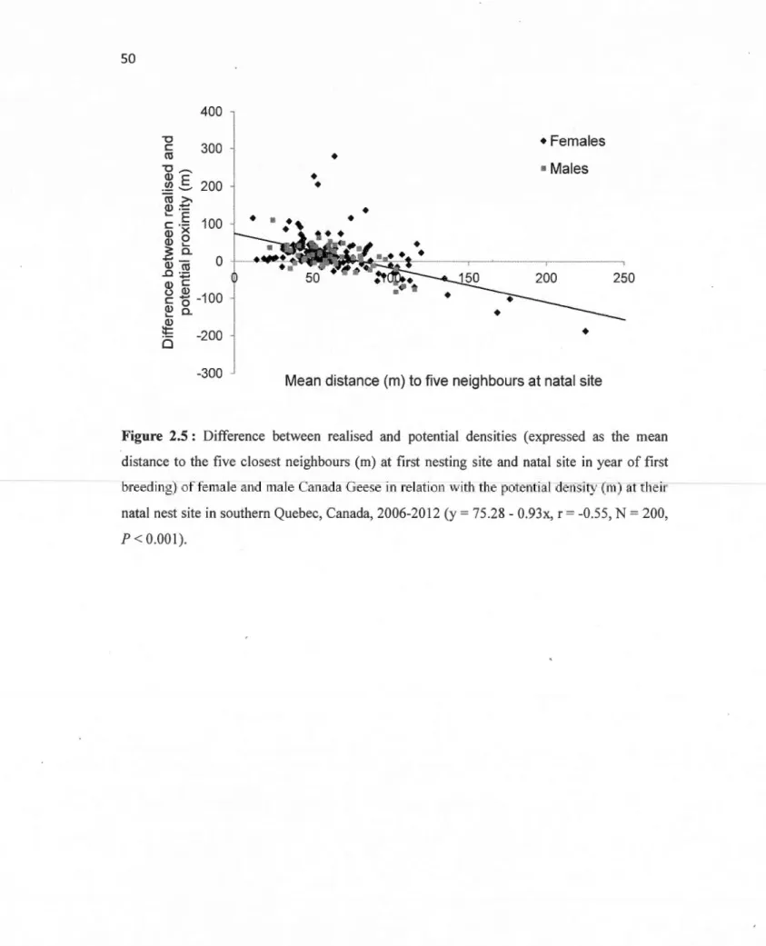 Figure  2.5:  Difference  between  realised  and  potential  densities  (expressed  as  the  mean  distance  to  the  five  closest  neighbours  (m)  at  first  nesting site  and  natal  site  in  year  of first  breeding) of fema le ana male Canada Geese 