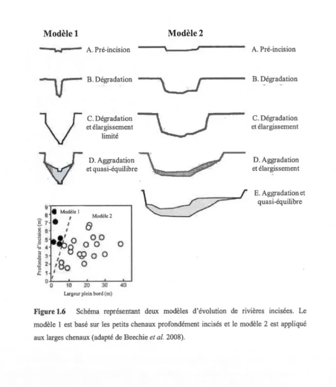 Figure 1.6  Schéma  représentant  deux  modèles  d'évolution  de  nvières  incisées.  Le  modèle  1 est  basé  sur  les  petits  chenaux  profondément  incisés  et  le  modèle  2  est  app liqué  aux  larges chenaux (adapté de Beechie et al