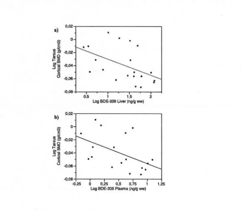 Figure  2.3.  Relationship  between  cortical  BMD  (logw-transformed  g/cm 3 )  of male  RBGUs  tarsus  and  BDE-209  concentrations  (logw-transformed  ng/g  ww)  in:  a)  liver  (n  =  20;  r 2  = 