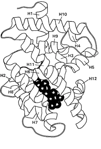 Figure 6. Structure du domaine de liaison du ligand de  TRal.  Réprésentation  schématique des a-hélices, le ligand est représenté par la masse noire