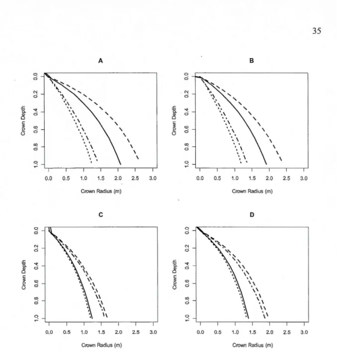 Figure  1.3  Crown  radius  over  depth  for  crown  lengths  and  stand  density  of 5  rn  and  500  stems ha- 1  (solid line),  10 rn and 500 stems ha-'  (dashed line),  5 rn and 2500 stems ha-'  (dotted  line),  10  rn  and  2500  stems  ha-'  (dashed 
