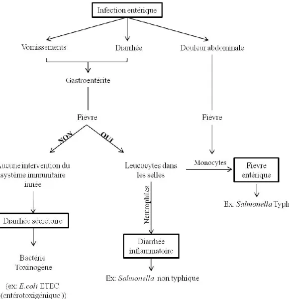 Figure 4-Caractéristiques et symptômes associés à une infection entérique 
