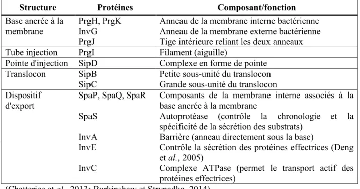 Tableau 2- Nomenclature des composants majeurs du T3SS-1 de Salmonella 