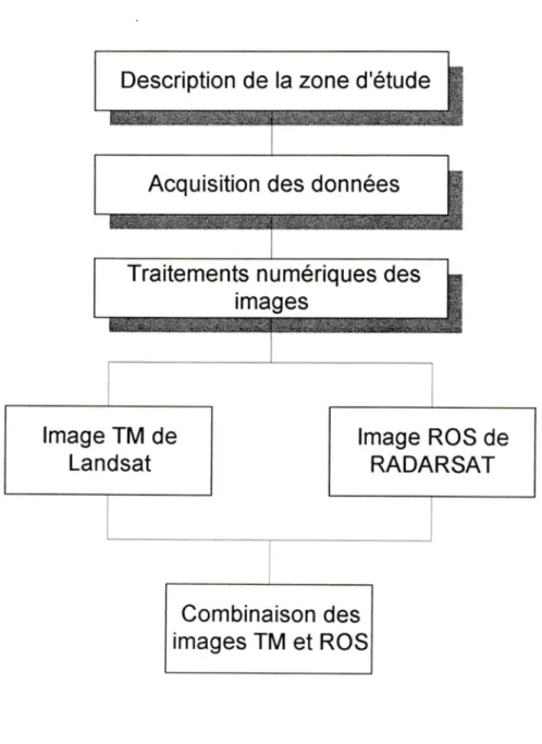 Figure 2 - Organigramme détaillé de la méthodologie