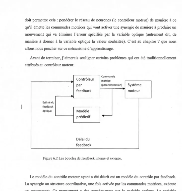 Figure 6.2 Les  boucles de  feedback interne et externe. 