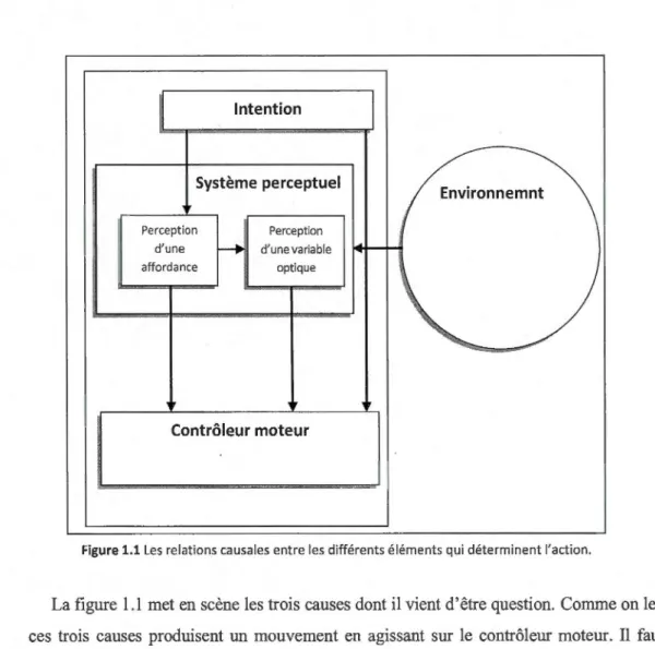 Figure 1. 1 L es relations causa les  entre les  différents éléments qui déterminent  l'action 