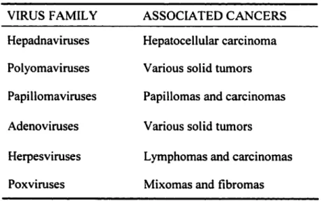 Table 1:  DNA tumor viruses and associated cancers. 