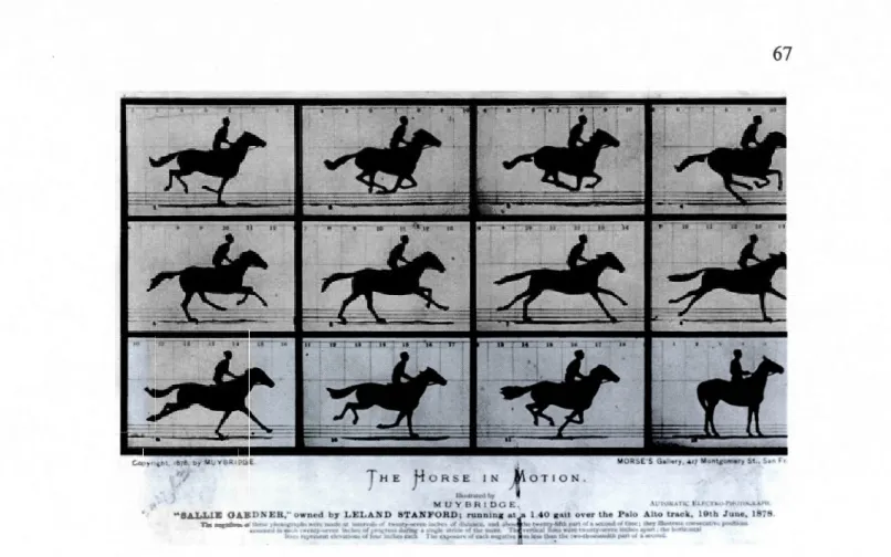 Figure  6.1:  Travaux d'Edweard Muybridge sur le  mouvement du  cheval qu'il  réussit à fragmenter par  l'installation de  plusieurs appareils photos placés à équidistance sur la course d'un  cheval