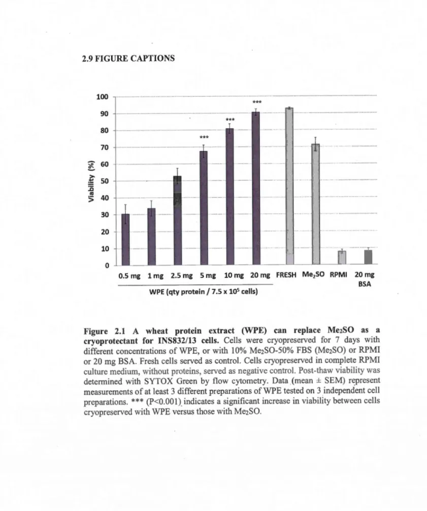 Figure  2.1  A  wheat  protein  extract  (WPE)  can  replace  Me2SO  as  a  cryoprotectant  for  INS832/13  cell s