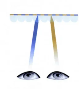Figure  4  :  Affichage  auto-stéréoscopique  à  écran  lenticulaire.  Les  deux  images  sont  entrelacées  et  les  lentilles  cylindriques  dirigent le  regard  sur l'une ou  l'autre, selon  le  point de vue