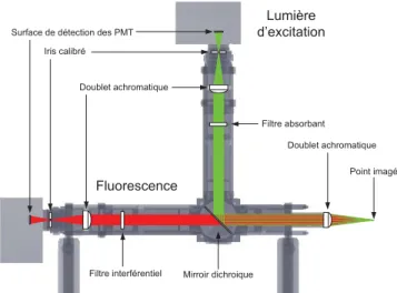 Figure 3.3 Schéma optique d’un canal de détection à deux longueurs d’onde : le parcours de la lumière laser (vert) et la ﬂuorescence (rouge) [Lapointe et al., 2012].