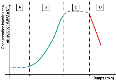 Figure 1.7  Cinétique de la croissance bactérienne dans un milieu pur  (sans autres bactéries que l’espèce étudiée) non renouvelé 