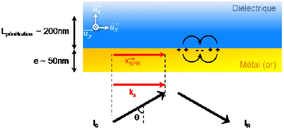 Figure 2.1  Principe de la résonance des plasmons de surface et  positionnement de la théorie 