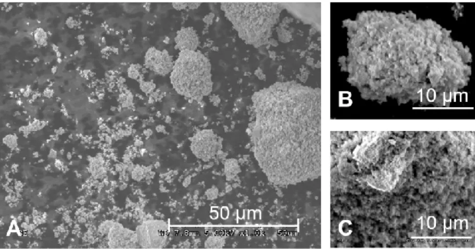 Figure 22. Bauxite residues observed by SEM (A: x 200. B and C: x 5000). 