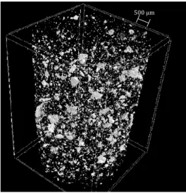 Figure 23. X-ray micro-tomography image of a compacted bauxite residue at 69% 