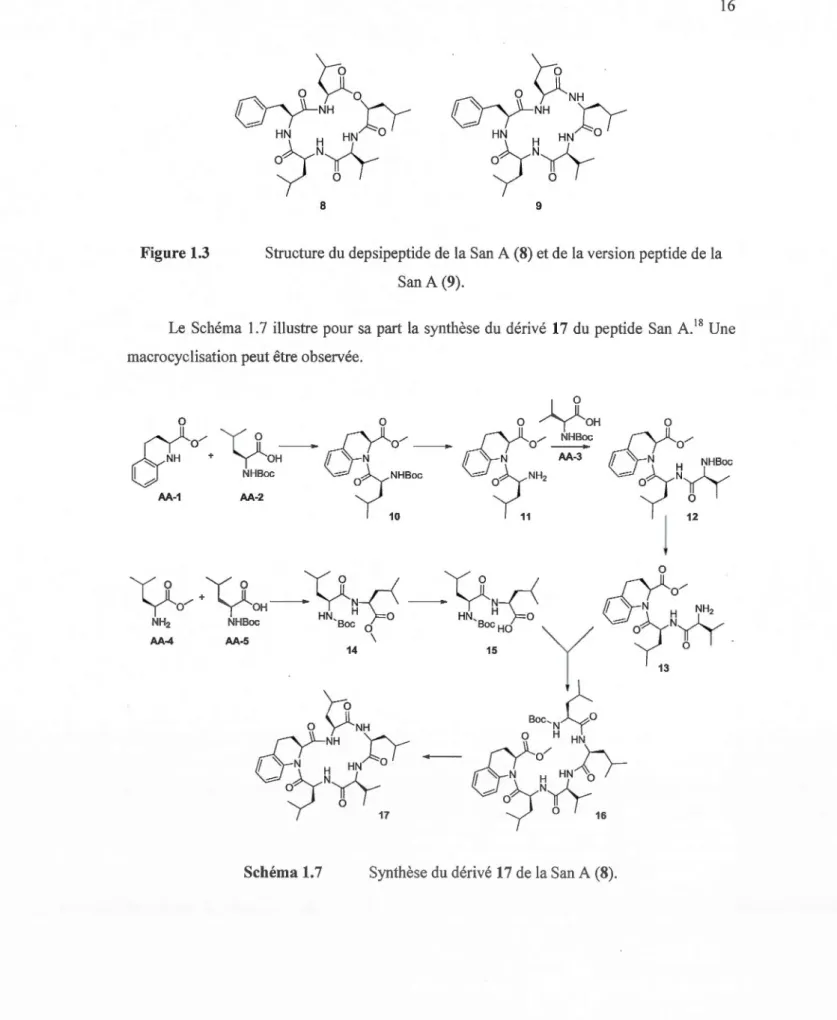 Figure 1.3  Stru cture du  depsipeptide de  la Sa n A (8) et de la version peptide de la  San A (9)