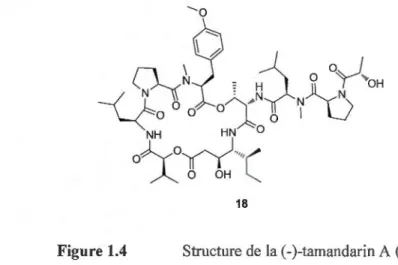 Figure 1.4  Structure de  la (-)-tamandarin  A  ( 18). 