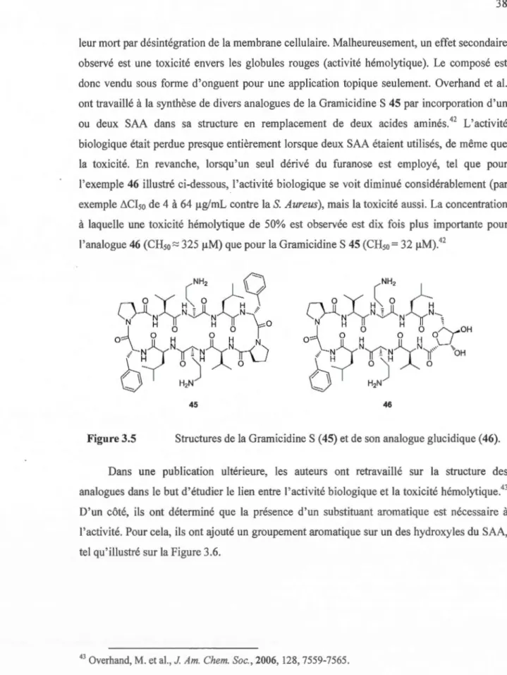 Figure  3.5  Structures de  la Gramicidine S  (45)  et de  son analogue g lucidiq ue  (46)