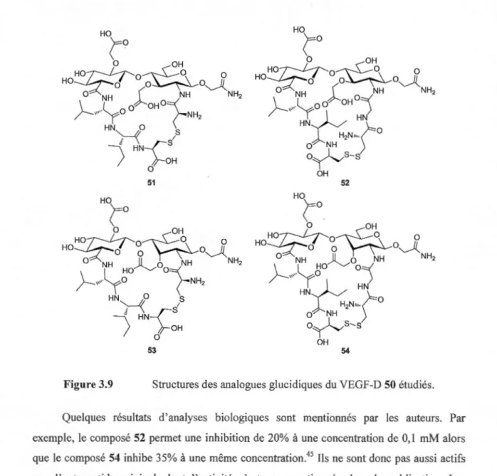 Figure 3.9  Stru ctures des analogues glucidiques  du VEGF-D 50 étudiés. 