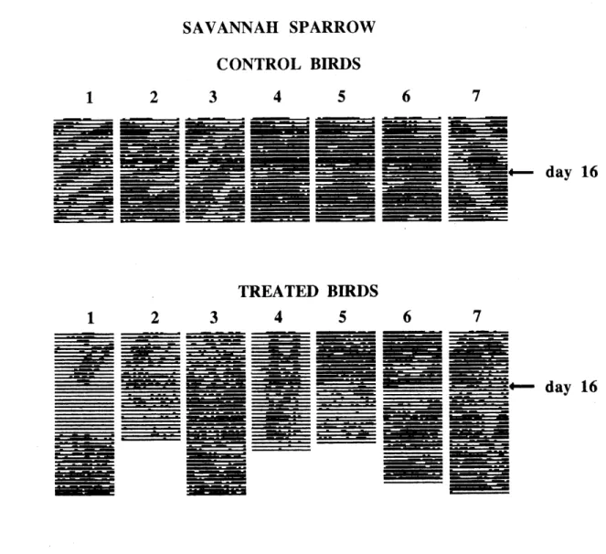 Fig. 2. Perch-hopping activity of the seven control and seven treated Savannah Sparrows.