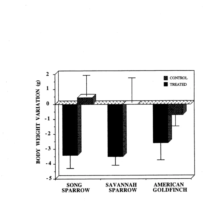Fig. 5. Mean body weight variation (g ± SD) between the first and the last days of the experiment of the treated and control birds