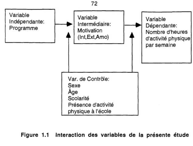 Figure 1.1 Interaction des variables de la présente étude 