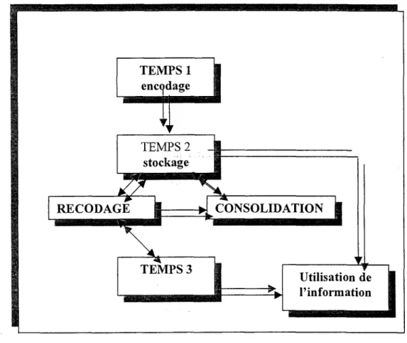 Figure 5-1. Le processus de la mémoire à long terme. 