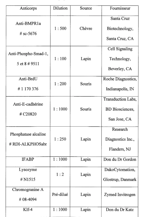 Tableau 6. Liste des anticorps primaires utilisés en immunofluorescence 