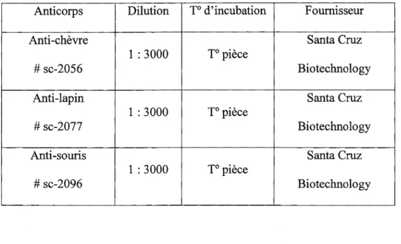 Tableau 9. Liste des anticorps secondaires utilisés en immunobuvardage  Anticorps  Dilution  T 0  d'incubation  Fournisseur 