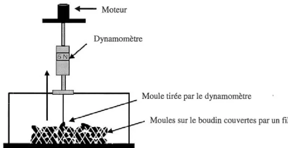 Figure 1.9  Schéma du  montage utilisé pour l'acquisition de la force d'attachement d'une  moule sur un boudin à l'aide d'un dynamomètre (Figure modifiée de  [19]) 