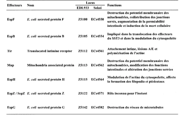 Tableau 1. Les effecteurs du systeme de secretion de type III chez 0157:H7 codes par le LEE