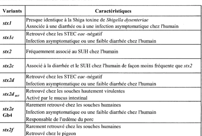 Tableau 3. Les variants six chez les STEC. 