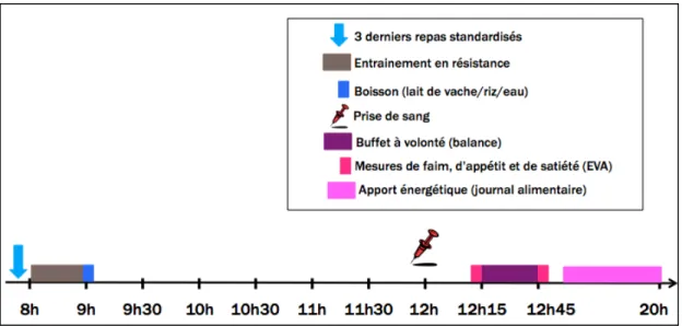 Figure 3. Déroulement des visites 2 à 4 