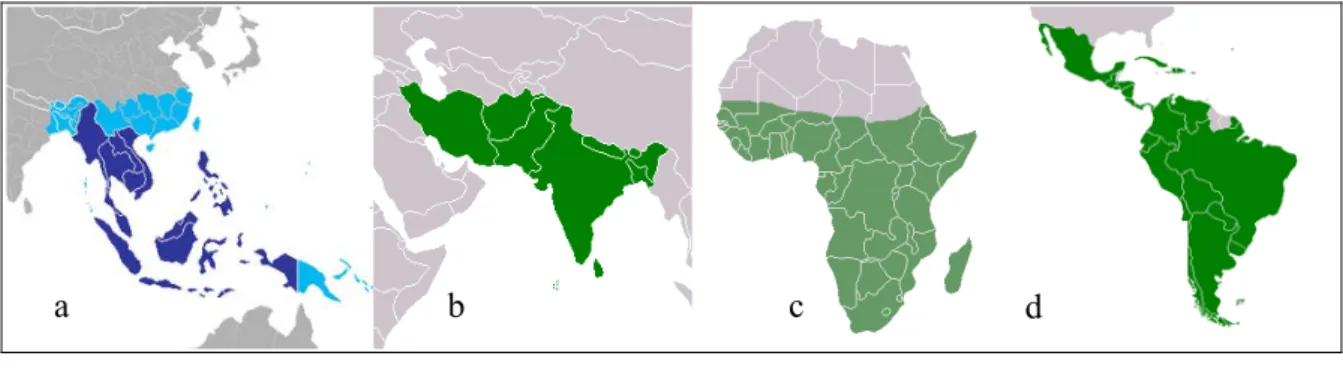 Figure 2.1  Macro région du monde. (a) Asie du Sud-Est en bleu foncé (b) Asie du Sud  (c) Afrique Subsaharienne (d) Amérique latine et Caraïbes