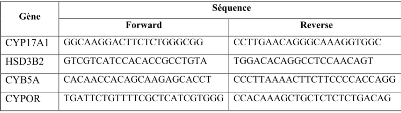 Tableau 11 : Séquences forward et reverse des amorces utilisées pour le qPCR chez les  cellules NCI-H295R 