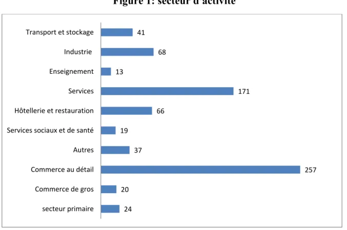 Figure 1: secteur d'activité 