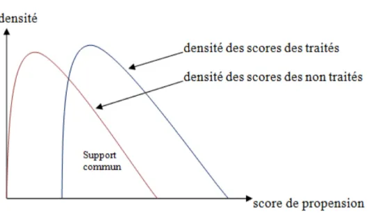 Figure 5 : représentation schématique du support commun 