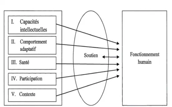 Figure  1.1  Modèle conceptuel du fonctionnement humain (Schalock et al.,  2010/2011,  p