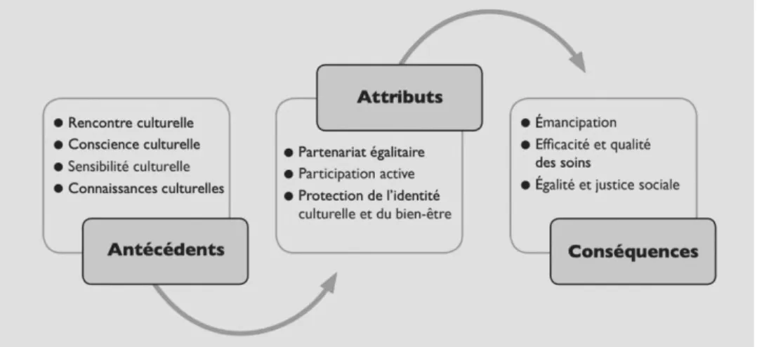 Figure 1.   Sommaire des attributs, antécédents et conséquences de la sécurité culturelle 