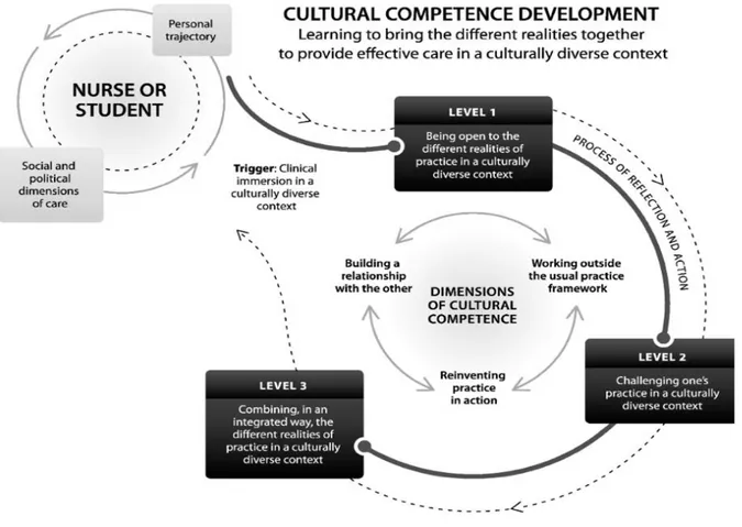 Figure 3.  Le développement de la compétence culturelle 