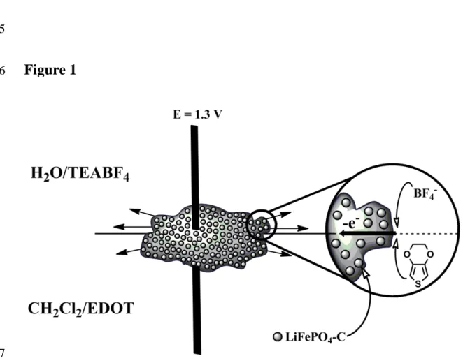Figure 4. SEM micrographs of the side toward the aqueous and organic phases of PEDOT 294 