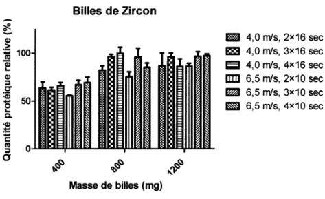 Figure 1. Quantification protéique relative d'une lyse de Frankia avec des billes de Zircon par  rapport à une lyse par sonication