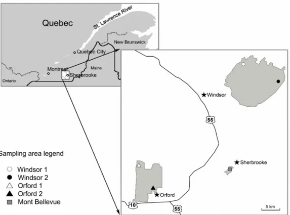 Figure  1.  Sampling  areas,  located  in  three  forests  of  the  Eastern  Townships