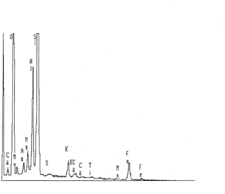 Figure 3.2 Analyse de la surface du sol d/Ascot au microscope electronique