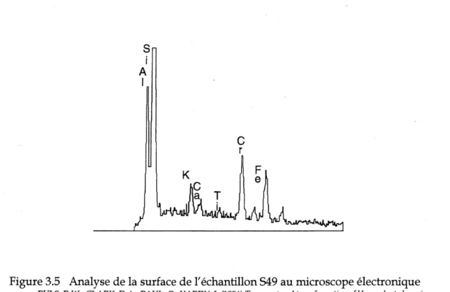 Figure 3.5 Analyse de la surface de Fechantillon S49 au microscope electronique