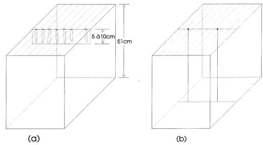 Figure 4.8 Echantillonnage du sol en cours d'essai: cellule de 100 lita-es