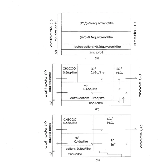 Figure 6.1 Modelisation simple de la migration ionique avant la rencontre des ions H+ et des acetates (essais CB1 a CB4)