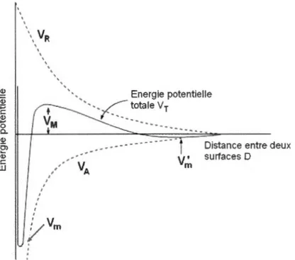 Figure  l.8 Diagramme du potentiel total  d'interaction entre 2 surfaces en fonction de  la distance D
