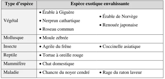 Tableau 1.2 Principales espèces exotiques envahissantes présentes en milieu urbain québécois  (compilation d’après : MDDEFP, s.d